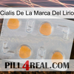 Lily Brand Cialis 24